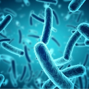 Virbacide-new Virbacide-new